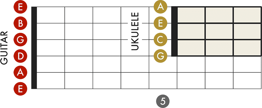 Tuning differences and similarities ukulele versus guitar