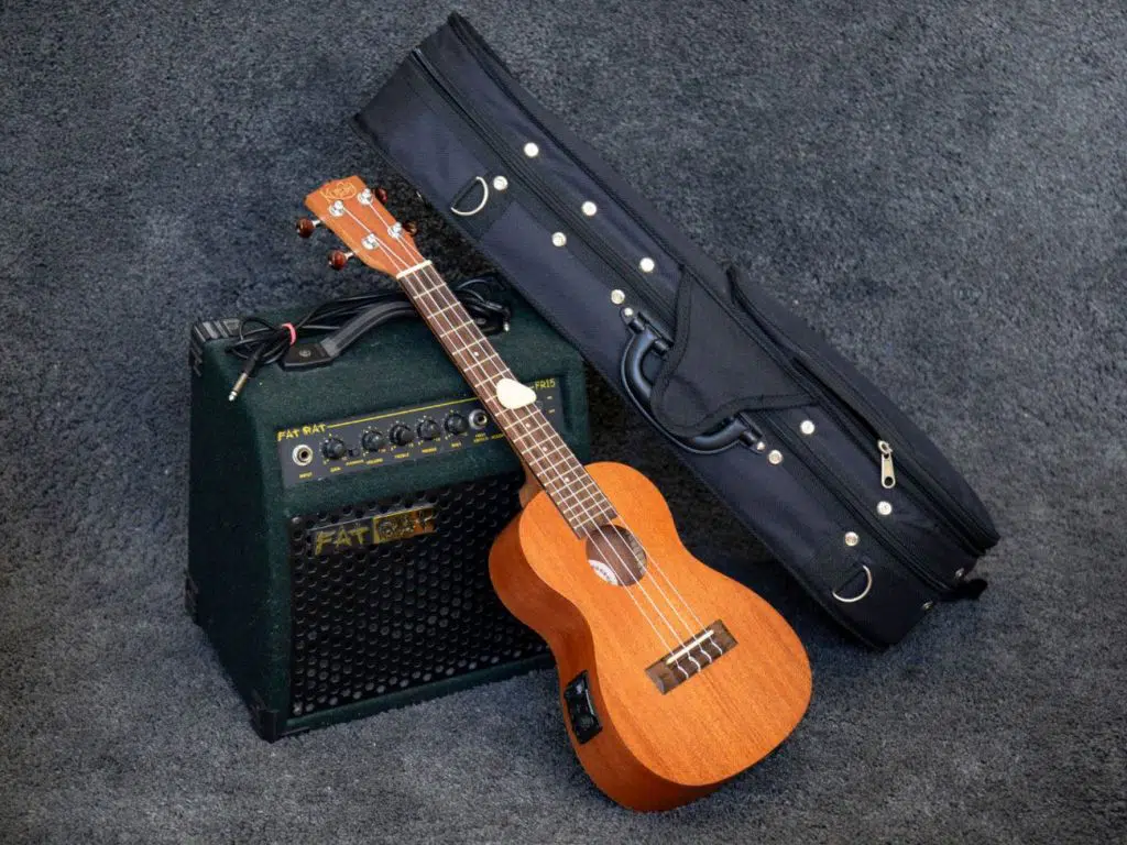 electric ukulele with hard gig bag and amplifier 