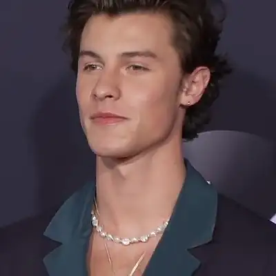 Shawn Mendes ukulele tabs and chords