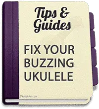 Want to know how you can fix your ukulele buzzing?