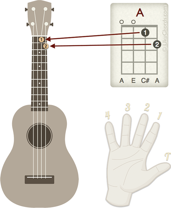 how to read chord charts