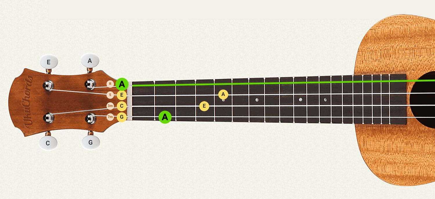 Free Online Ukulele Tuner, Standard and Special •