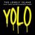 Yolo (feat. Adam Levine)