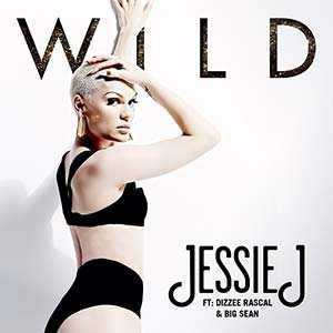 Wild - Single album image