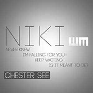 Niki - EP album image