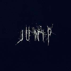 Junip album image