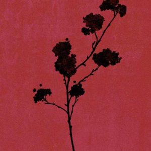 Take Me - Single album image