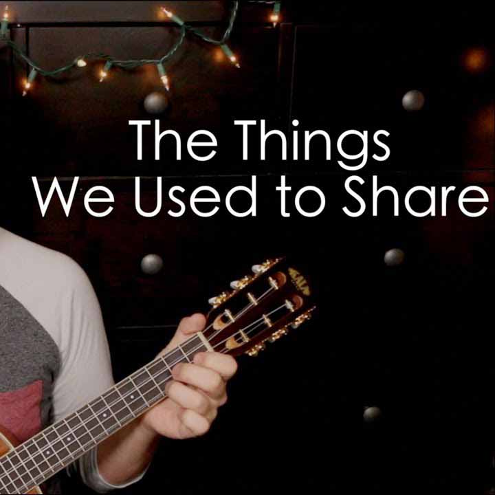 The Things We Used To Share - Single album image