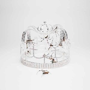 you should see me in a crown - Single album image