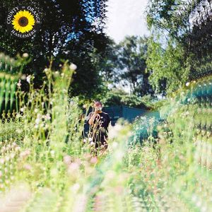 Sunflower - single album image