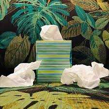 Hold Your Horses album image