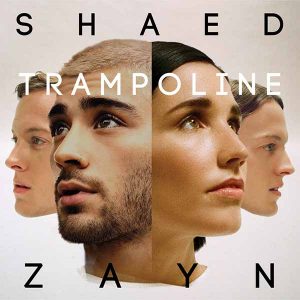 Trampoline - Single album image