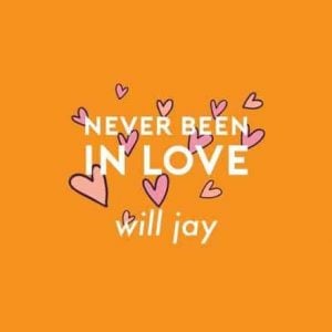 Never Been In Love - Single album image