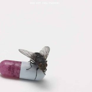 I'm With You album image