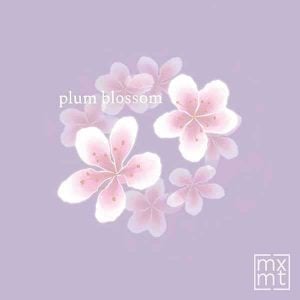 plum blossom - EP album image
