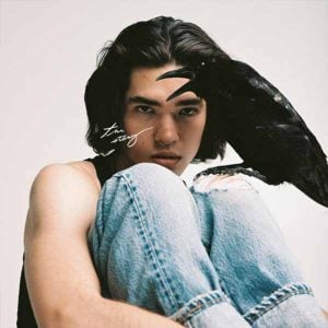 The Story - Single album image