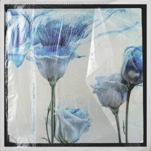 Conversations in the Dark - Single album image