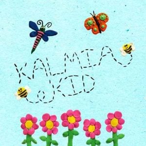 Kalmia Kid - Single album image