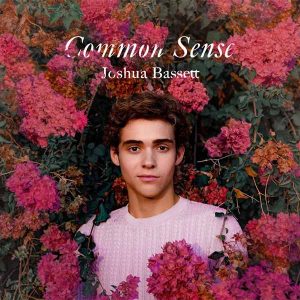 Common Sense album image
