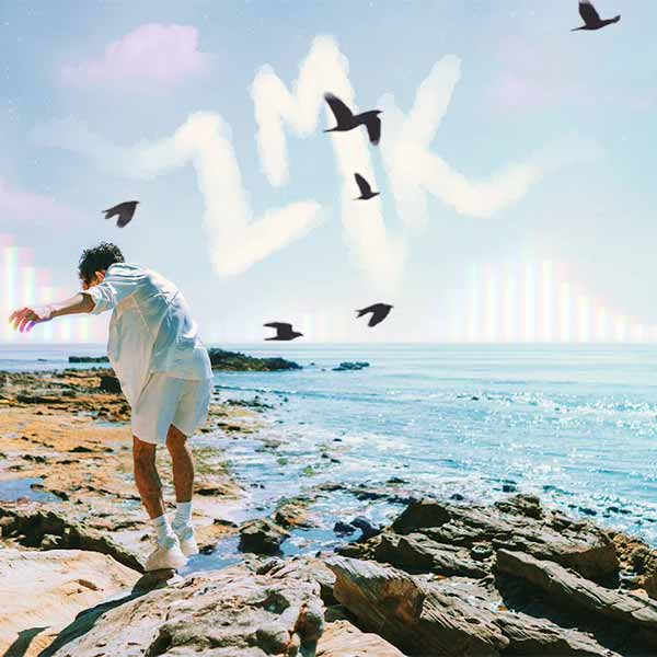LMK album image
