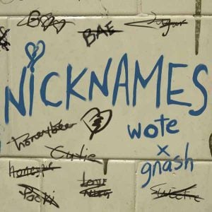 Nicknames album image