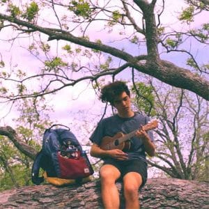 Treehouse album image