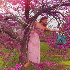 Butterfly's Repose album image