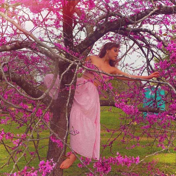Butterfly's Repose album image