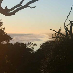 Why Can't I Have You album image