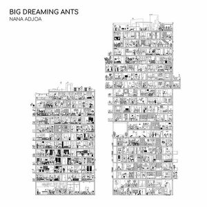 Big Dreaming Ants album image