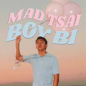 Boy Bi album image