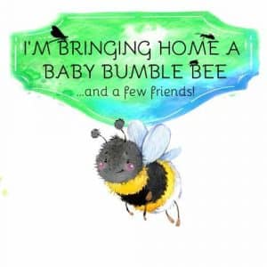 I'm Bringing Home A Baby Bumblebee album image