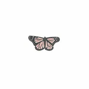 Butterfly album image