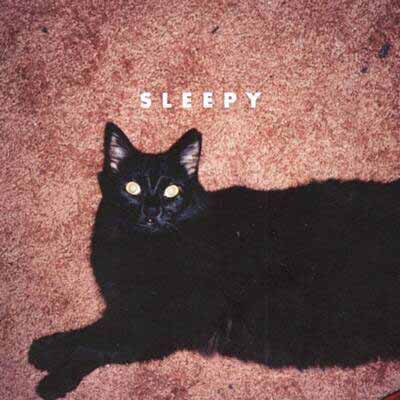 Sleepy album image