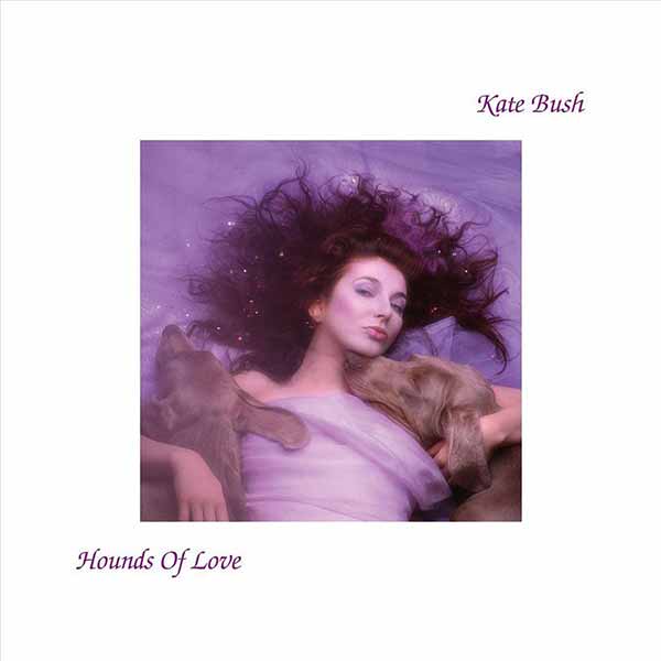 Hounds of love album image
