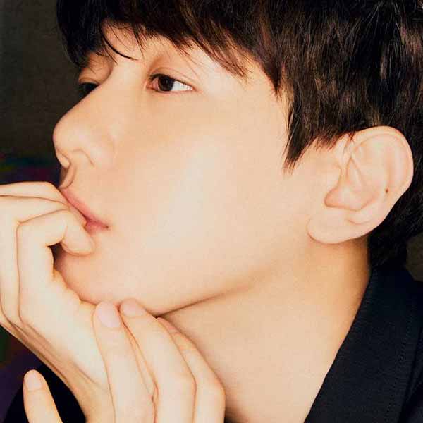 Bambi album image