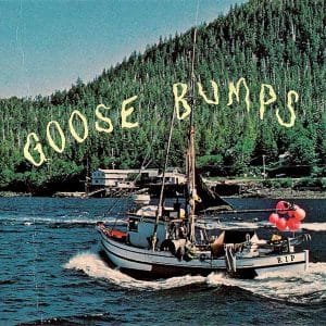 Goose Bumps album image
