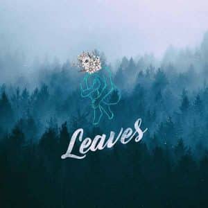 Leaves album image