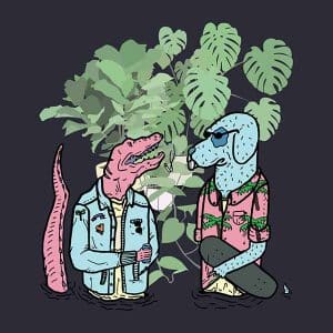 Vibes & Days album image