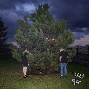 1000 Gecs album image