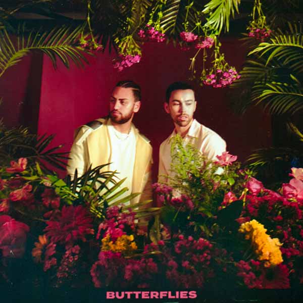 Butterflies album image