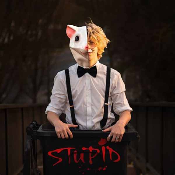Stupid album image