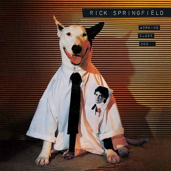 Working Class Dog album image