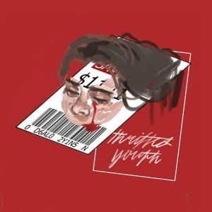 thrifted youth album image