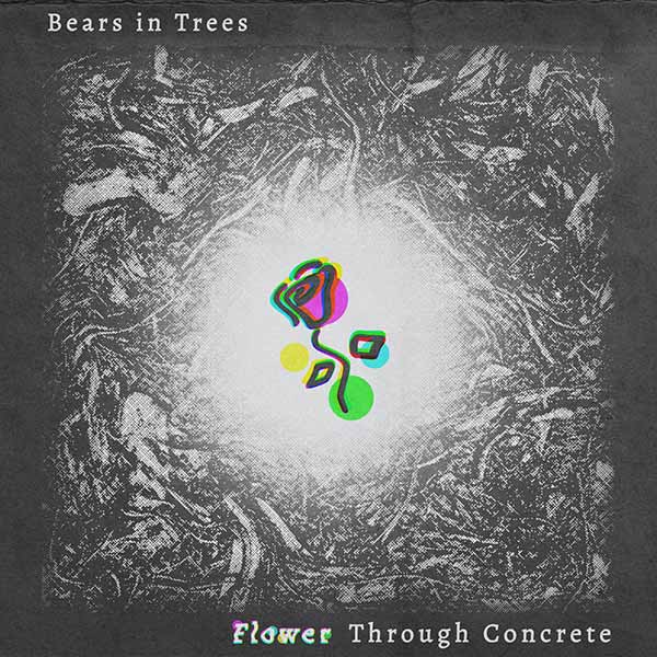 Flower Through Concrete album image