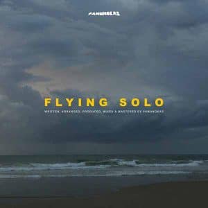 Flying Solo album image