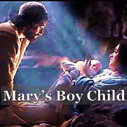 Mary's Boy Child album image