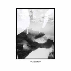 The Halocline EPs album image