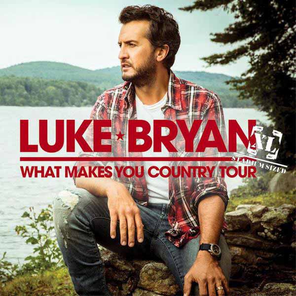 What Makes You Country album image