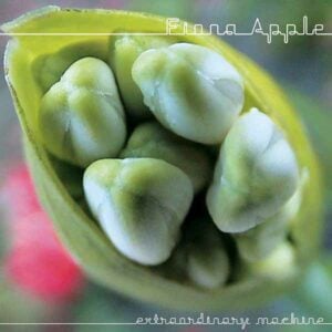 Extraordinary Machine album image